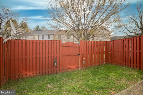 a view of a backyard with a large tree
