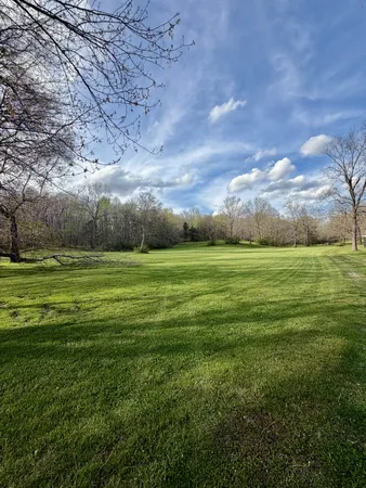 a view of a grassy field