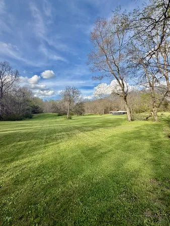 a view of a field with an trees