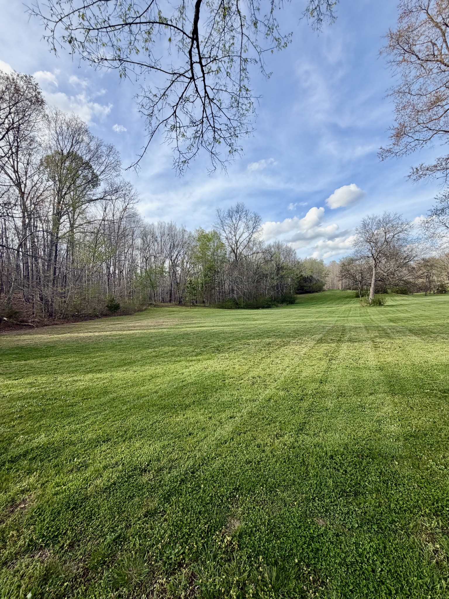 708 Waterloo Road Westpoint, TN 38486 - Photo 4 of 23