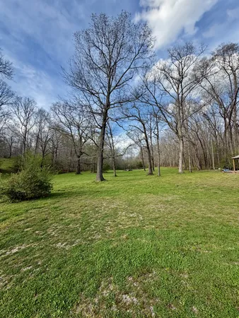 a view of garden with trees