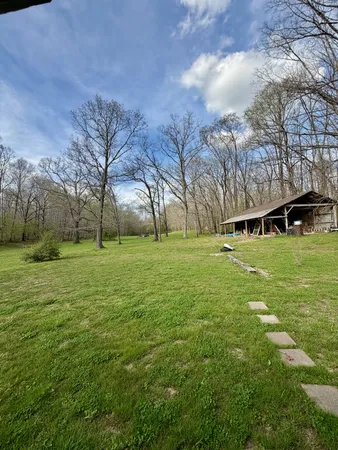 a view of a green field