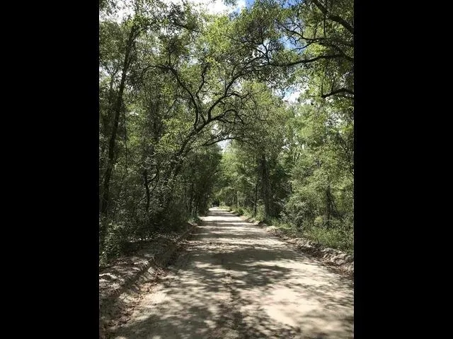 $90,000 | 0 Andrew Spears Road, Crawfordville, FL 32327