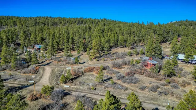 a view of a forest with a forest