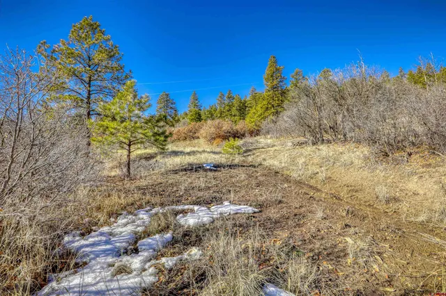 a view of a yard with a tree