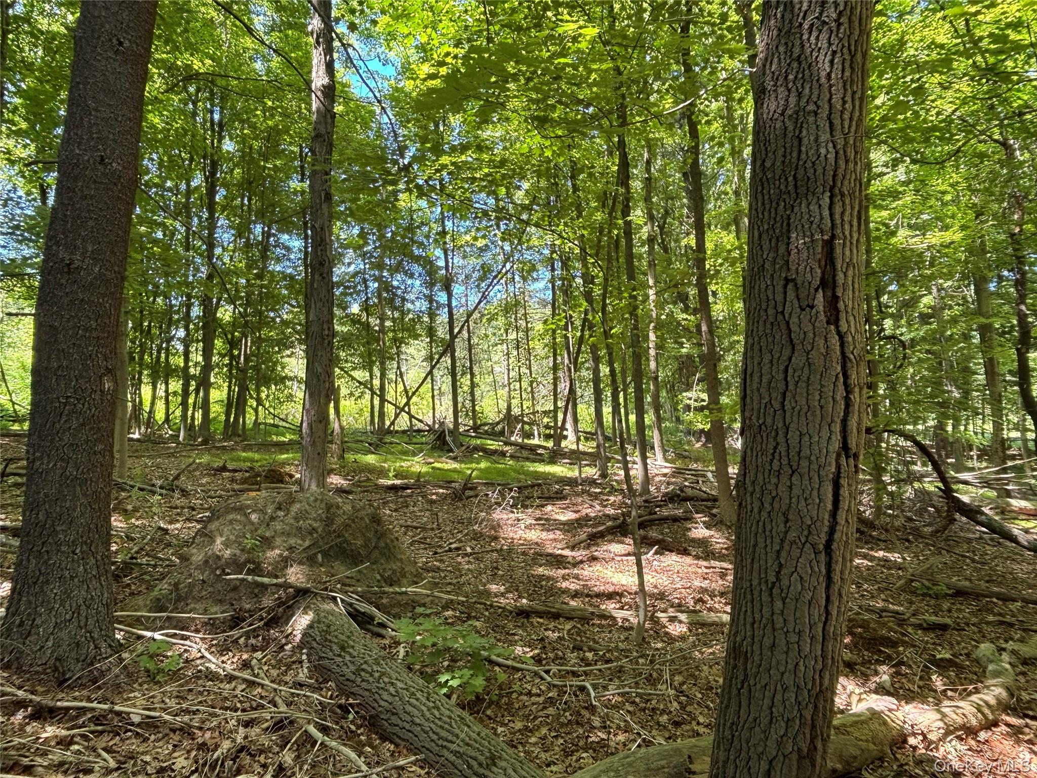 0 Smith Road Poughkeepsie, NY 12603 - Photo 5 of 8