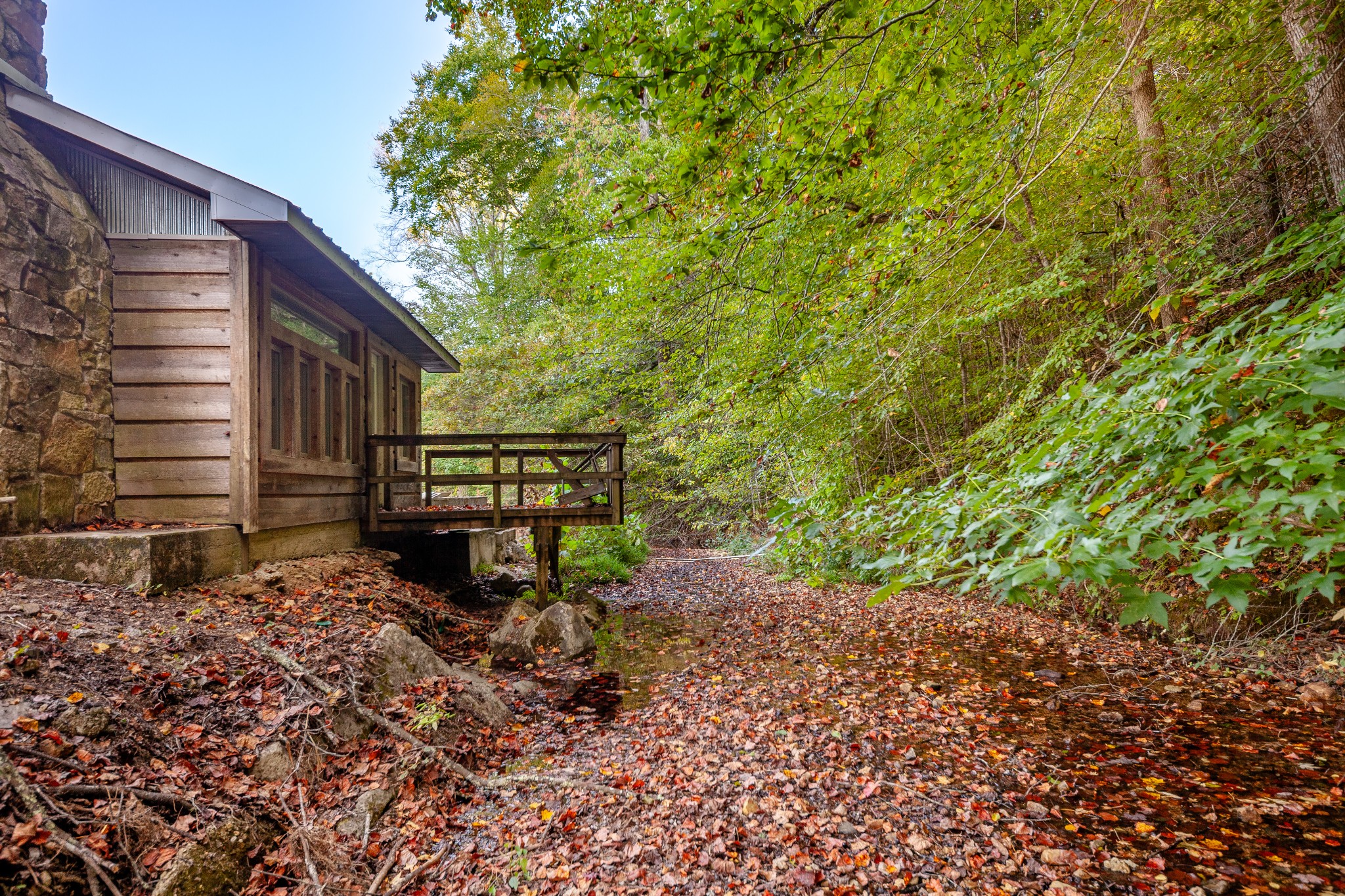 0 Puckett Hollow Road Centerville, TN 37033 - Photo 13 of 53 a backyard of a house with lots of green space