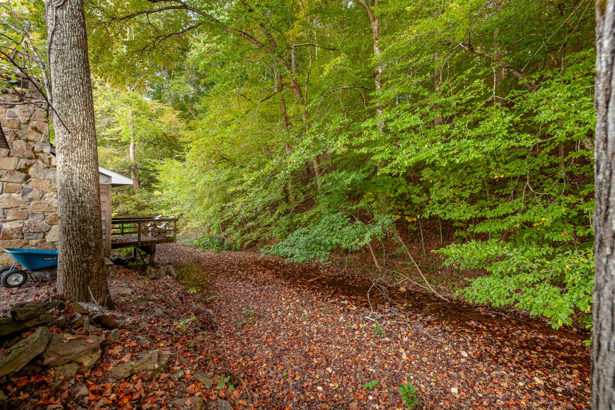 0 Puckett Hollow Road Centerville, TN 37033 - Photo 27 of 53 a backyard of a house with lots of green space