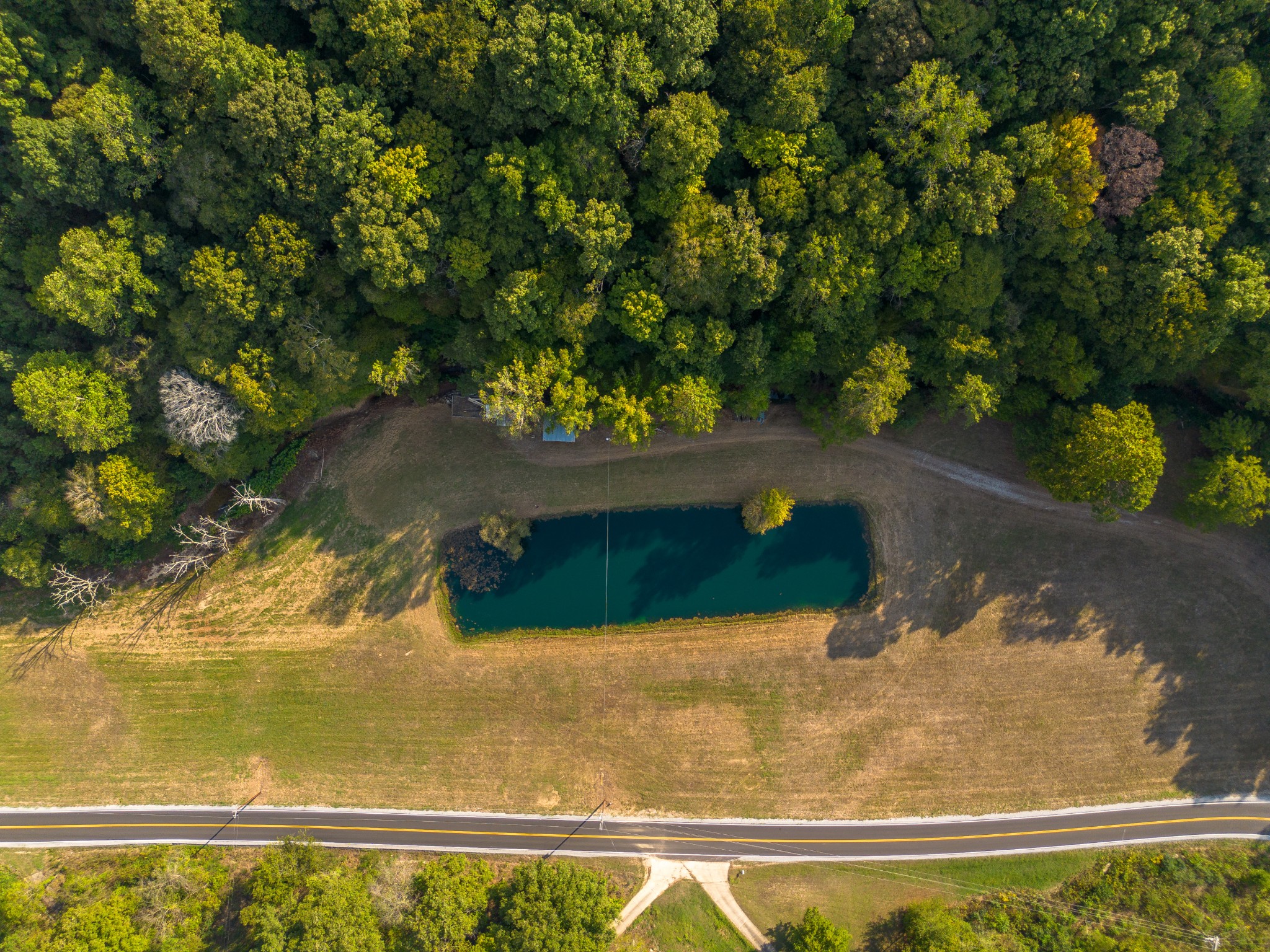 0 Puckett Hollow Road Centerville, TN 37033 - Photo 3 of 53 a view of swimming pool with a yard
