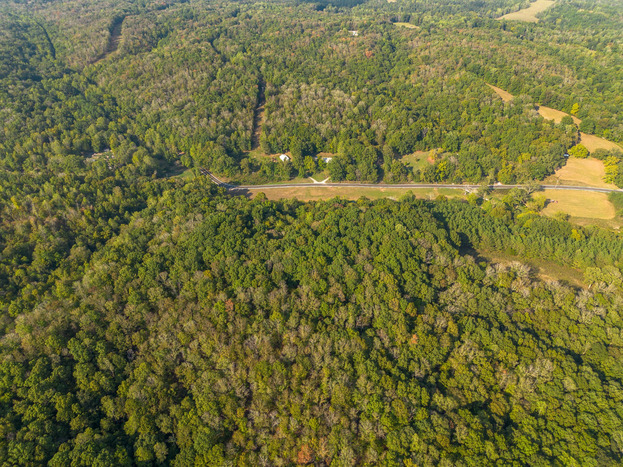 0 Puckett Hollow Road Centerville, TN 37033 - Photo 32 of 53 a view of outdoor space and yard
