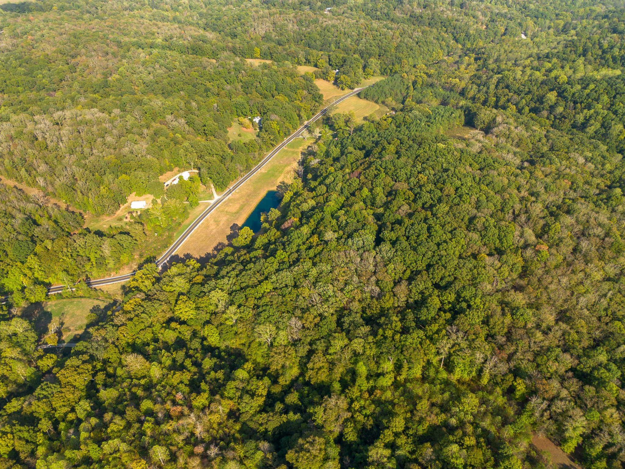 0 Puckett Hollow Road Centerville, TN 37033 - Photo 33 of 53 a view of a yard with a tree