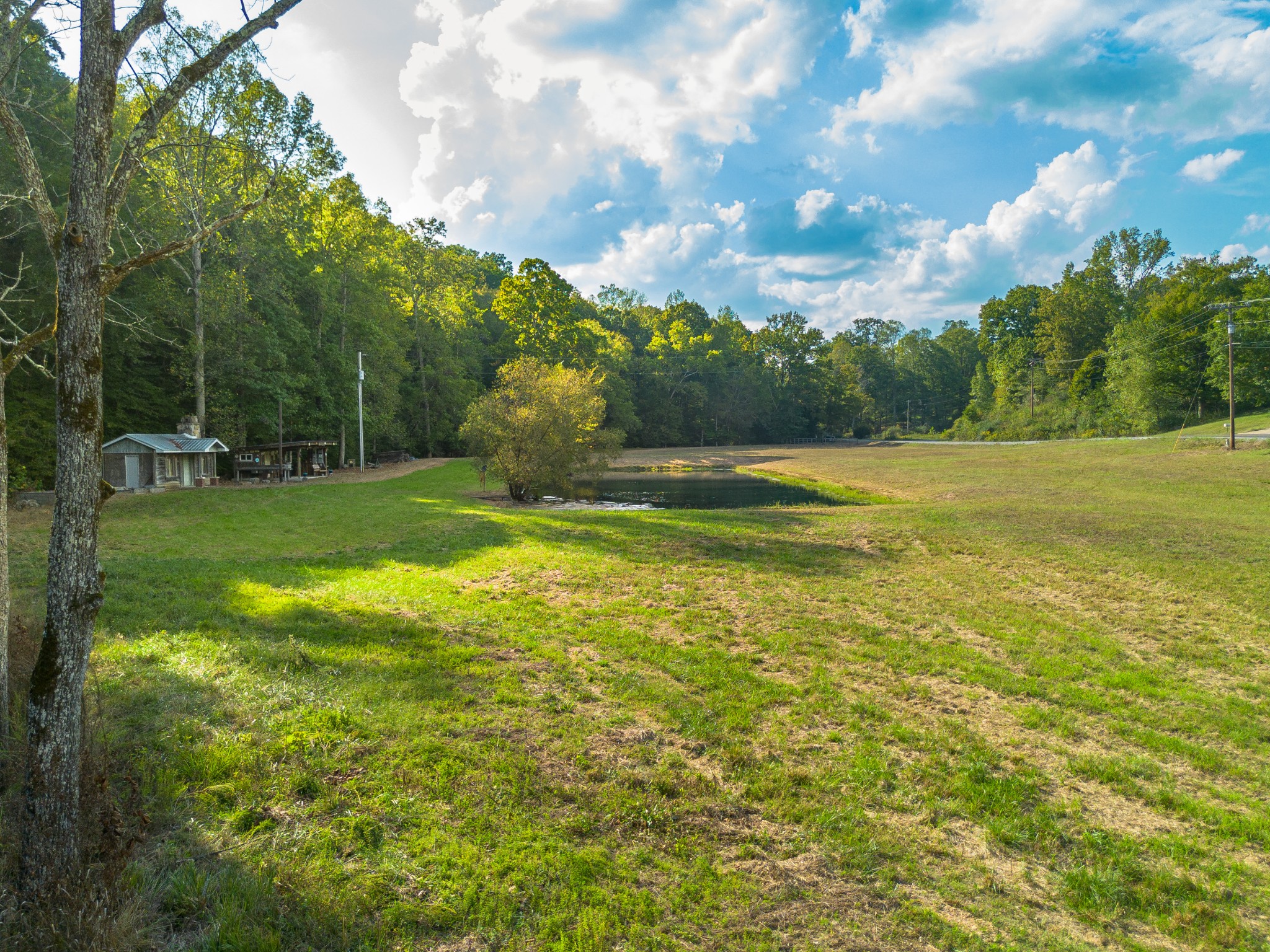 0 Puckett Hollow Road Centerville, TN 37033 - Photo 47 of 53 a view of a big yard with a fountain