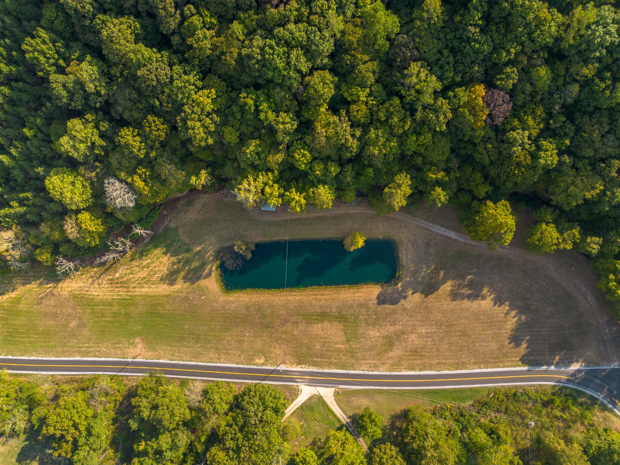0 Puckett Hollow Road Centerville, TN 37033 - Photo 50 of 53 a view of swimming pool with a yard