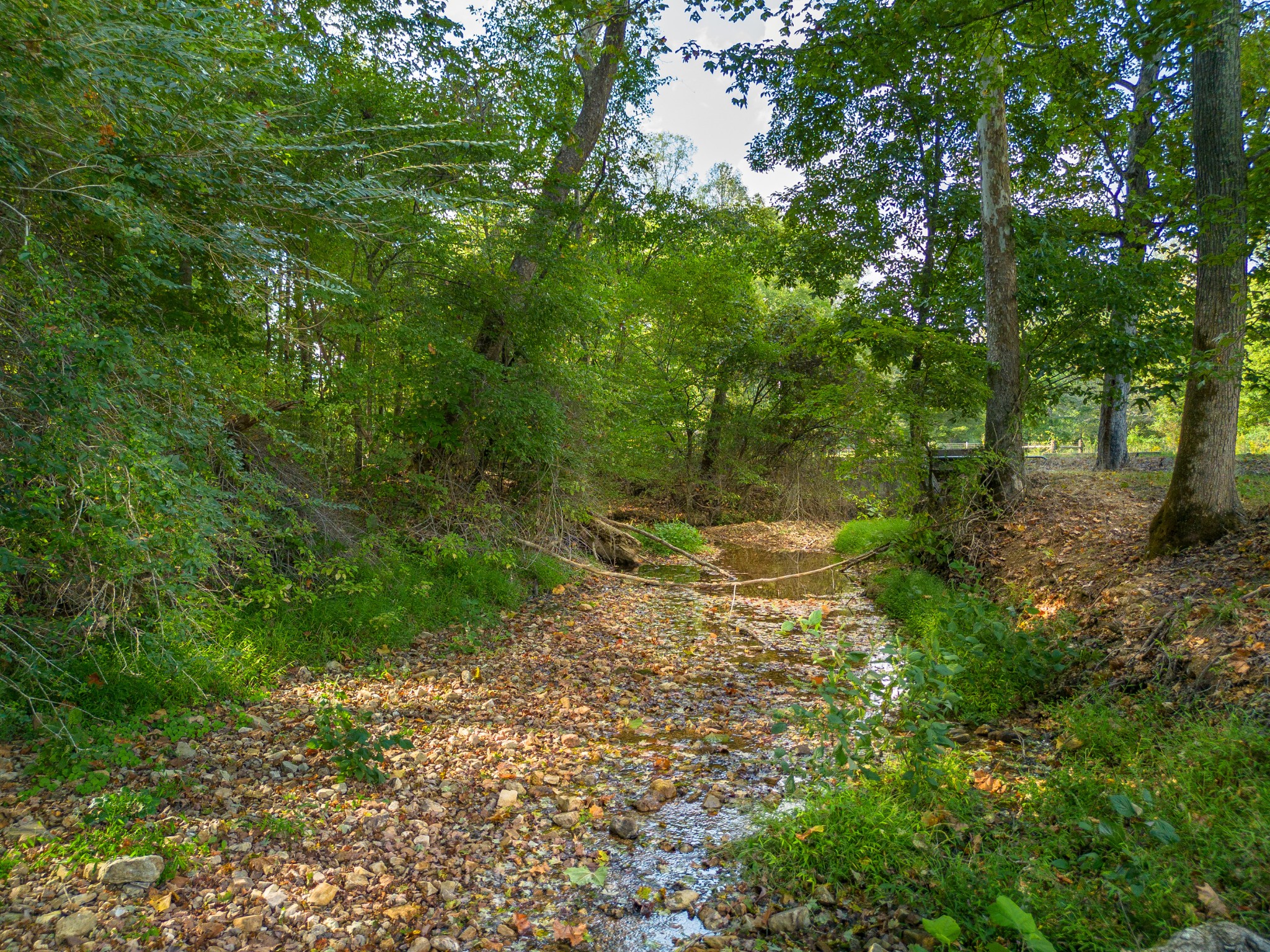 0 Puckett Hollow Road Centerville, TN 37033 - Photo 53 of 53 a backyard of a house with lots of green space