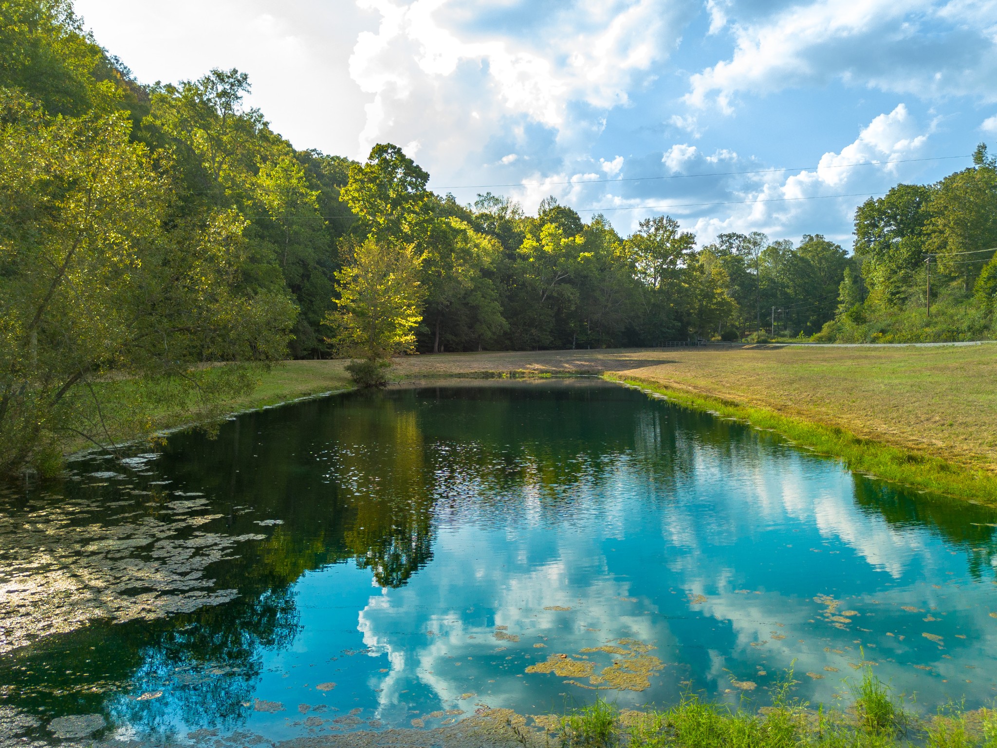 0 Puckett Hollow Road Centerville, TN 37033 - Photo 7 of 53 a view of a lake in a forest