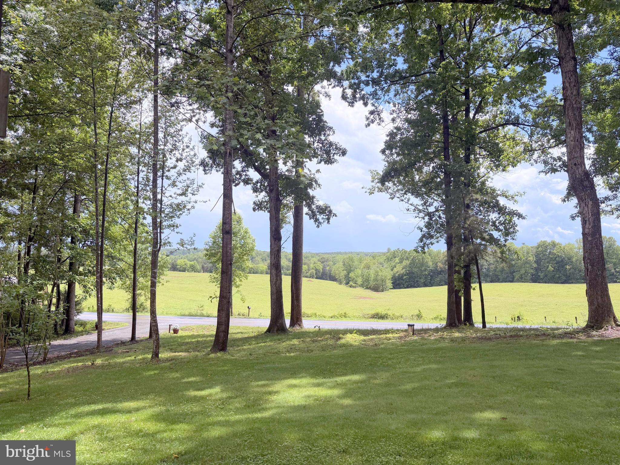 1425 Jacks Shop Road Rochelle, VA 22738 - Photo 39 of 56 Front yard and farm view