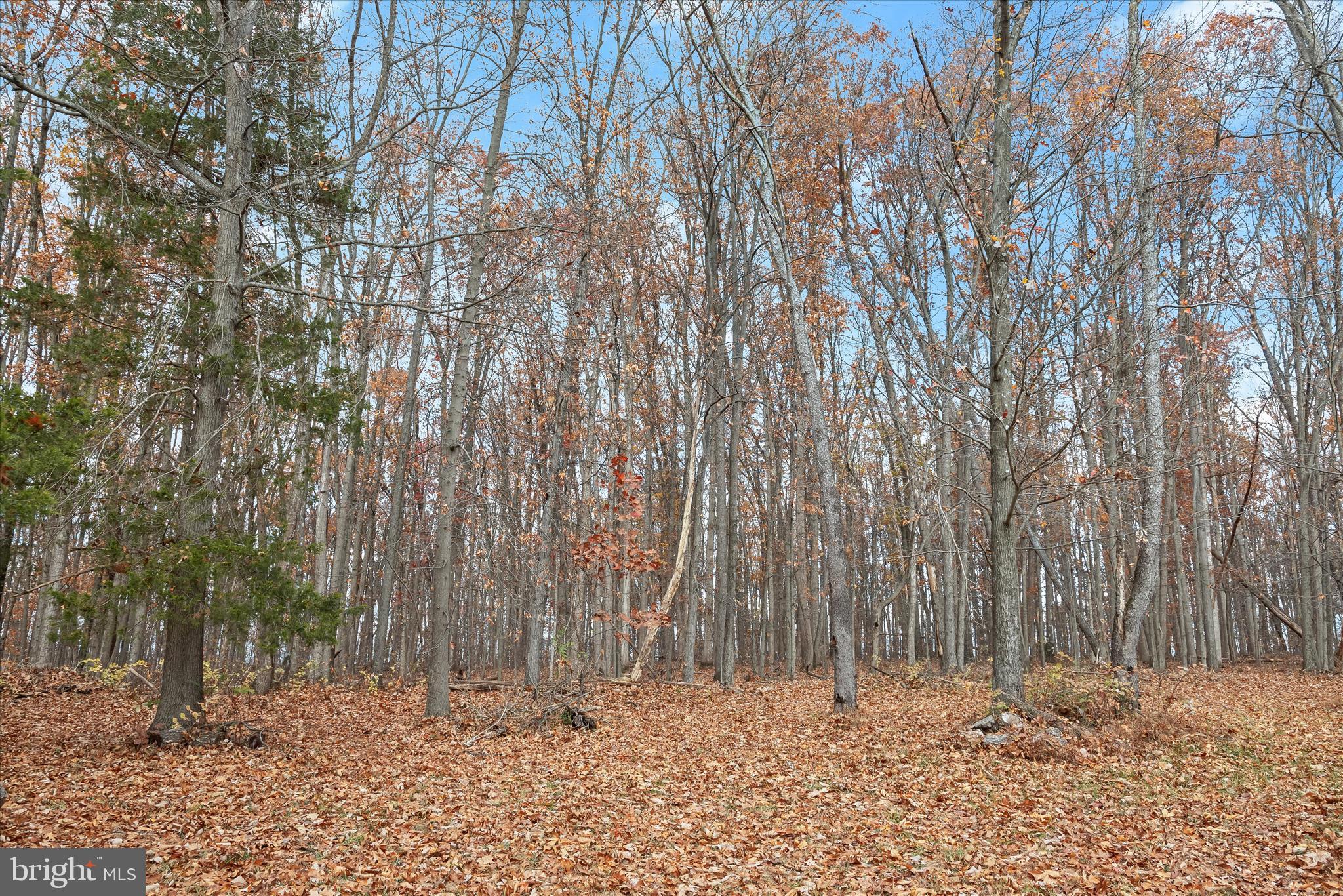 3580 Flickinger Road Westminster, MD 21158 - Photo 76 of 81 a view of wooden fence