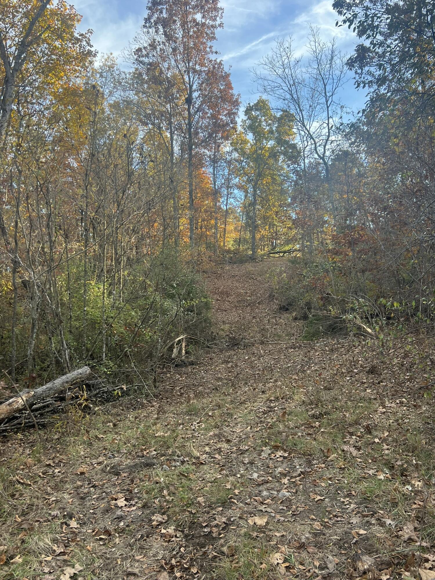0 King Road Mountain Grove, MO 65711 - Photo 20 of 26 29
