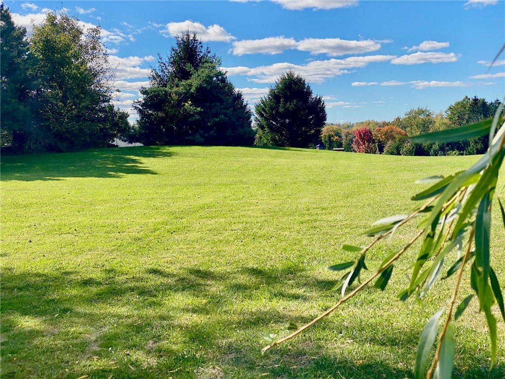 4455 Eddy Ridge Road Marion, NY 14505 - Photo 19 of 21