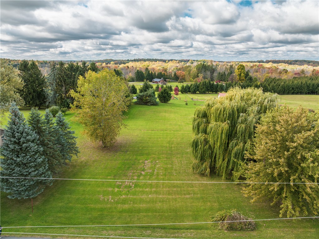 4455 Eddy Ridge Road Marion, NY 14505 - Photo 5 of 21