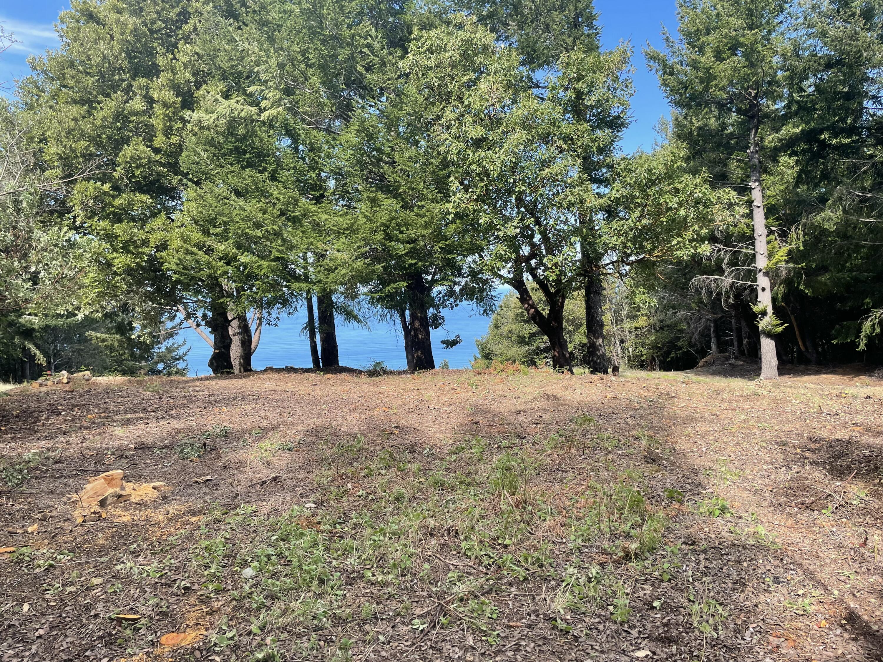 463 Cook Road Shelter Cove, CA 95589 - Photo 8 of 9
