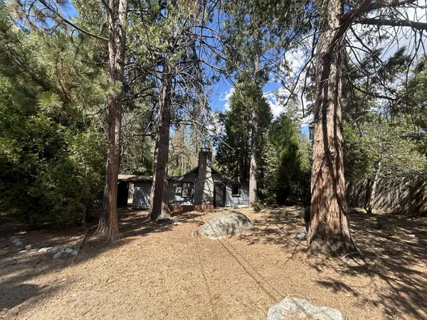 a view of outdoor space with trees