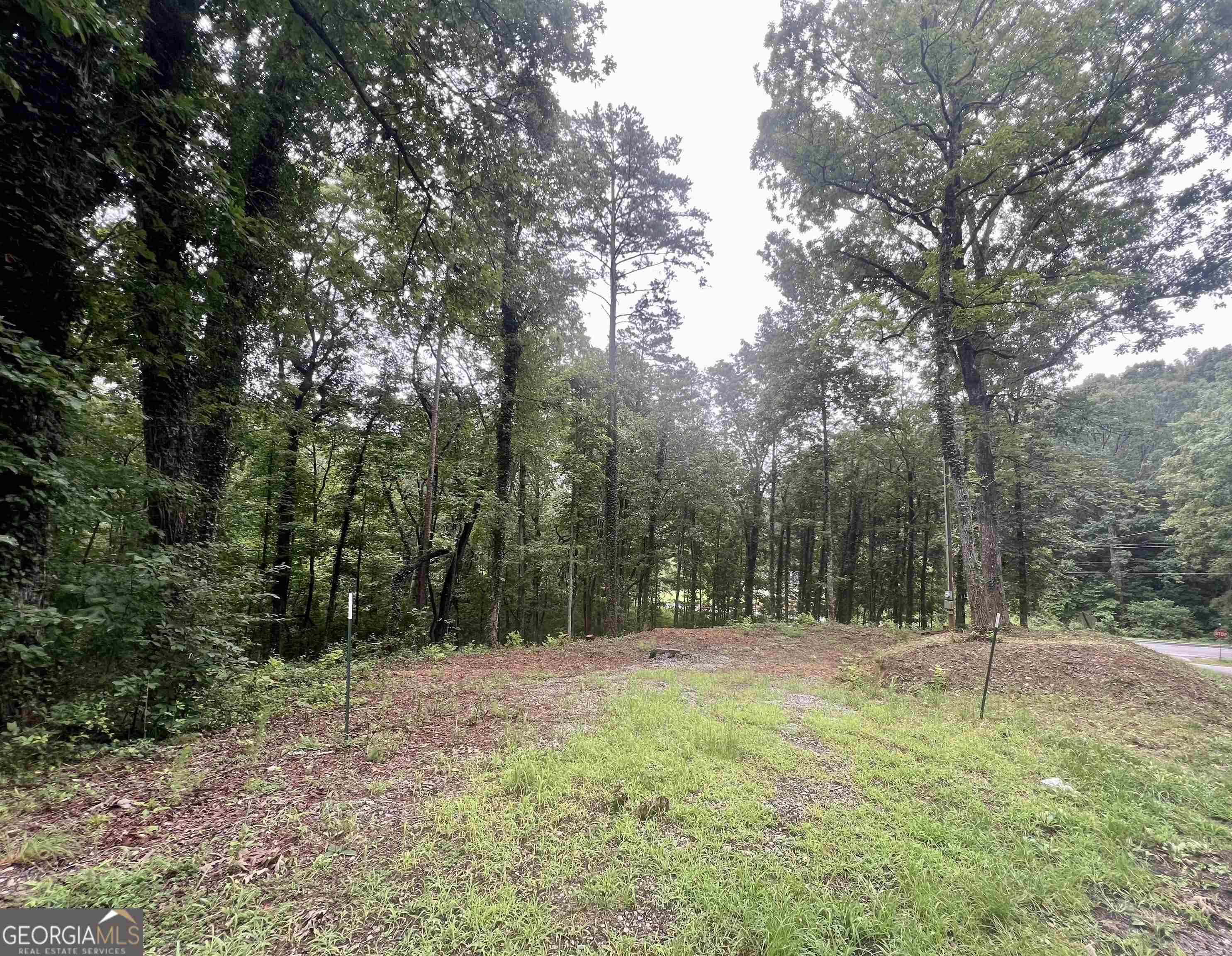 40 Wildwood Acres Road Cleveland, GA 30528 - Photo 1 of 1 Gallery Image 1