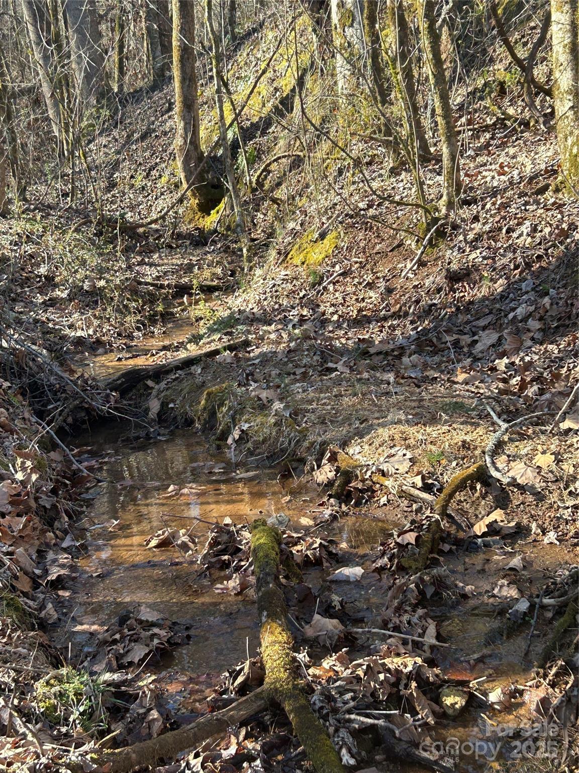 0 Ham Creek Road Union Mills, NC 28167 - Photo 2 of 8