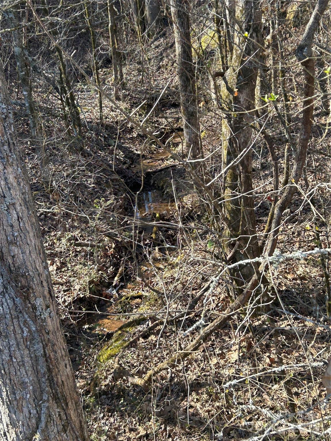 0 Ham Creek Road Union Mills, NC 28167 - Photo 3 of 8