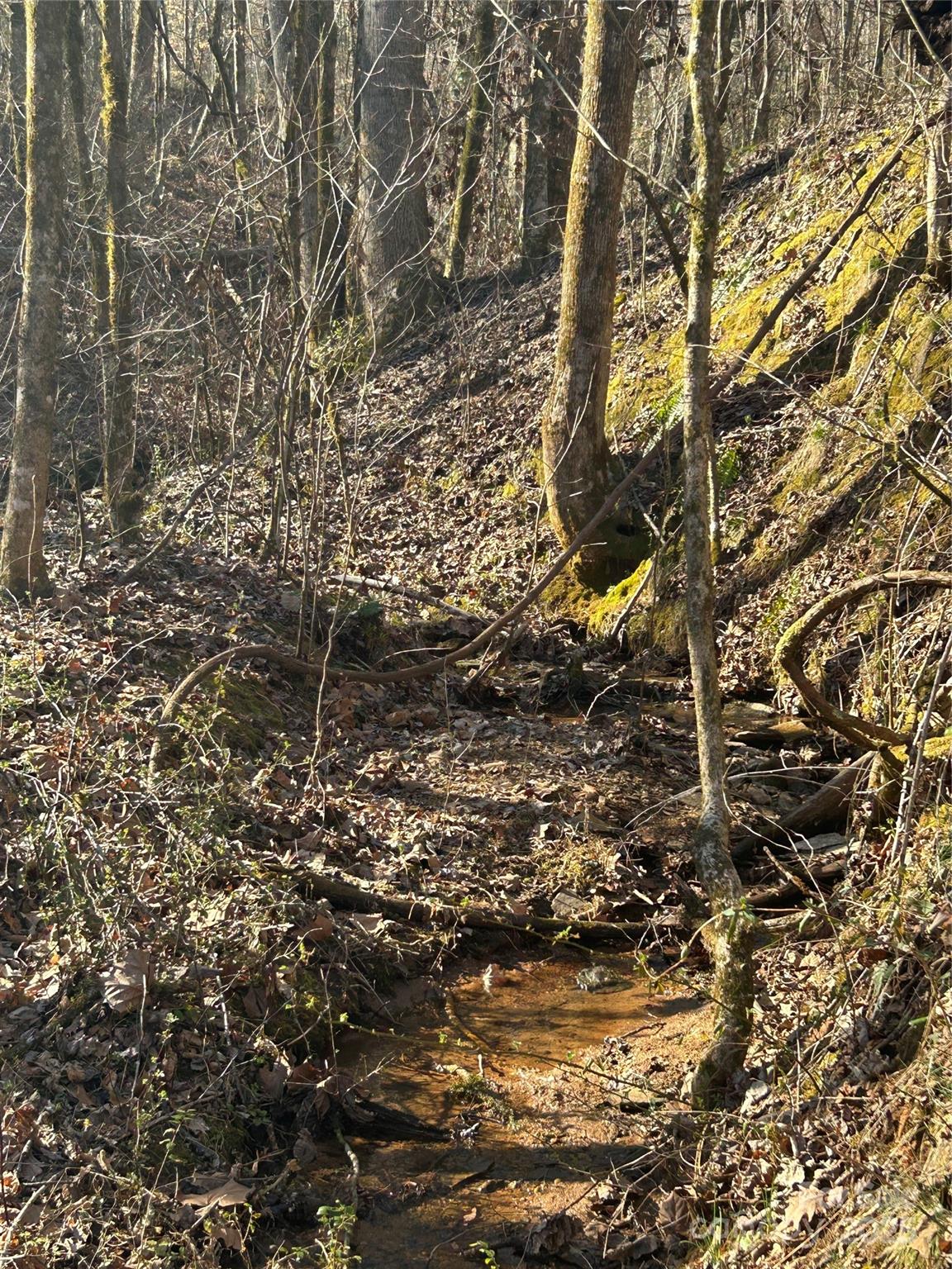 0 Ham Creek Road Union Mills, NC 28167 - Photo 4 of 8