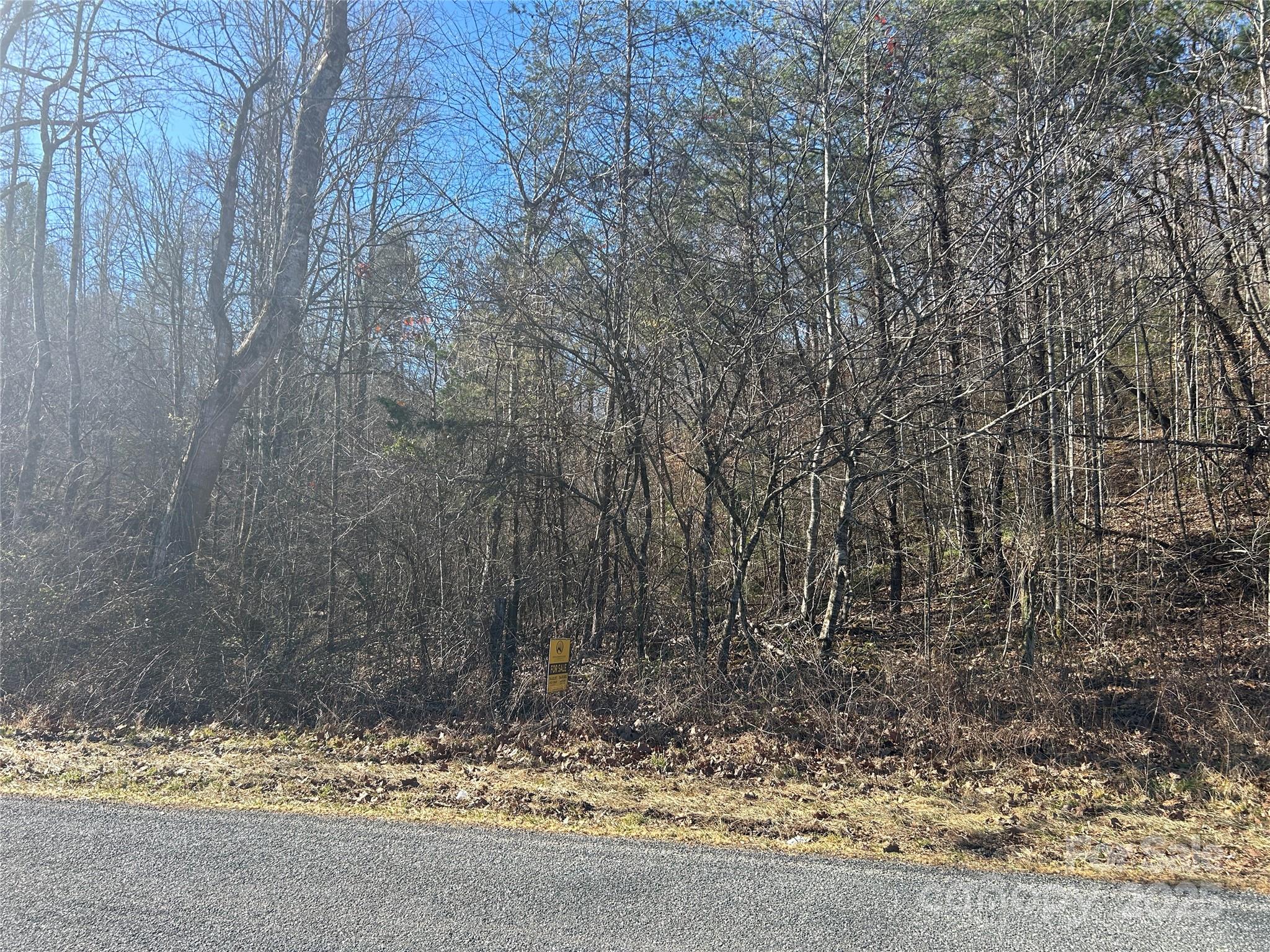 0 Ham Creek Road Union Mills, NC 28167 - Photo 5 of 8