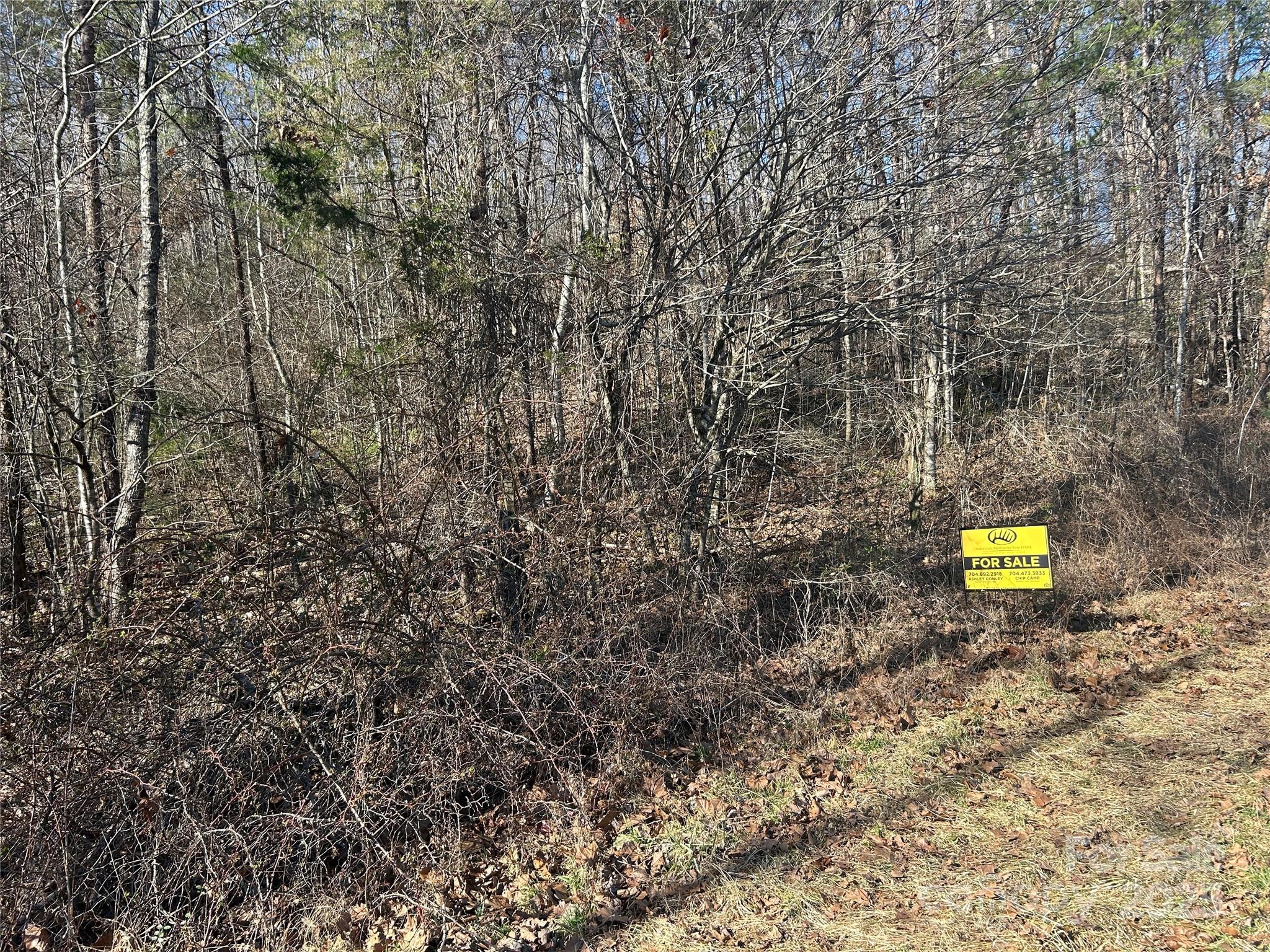 0 Ham Creek Road Union Mills, NC 28167 - Photo 6 of 8