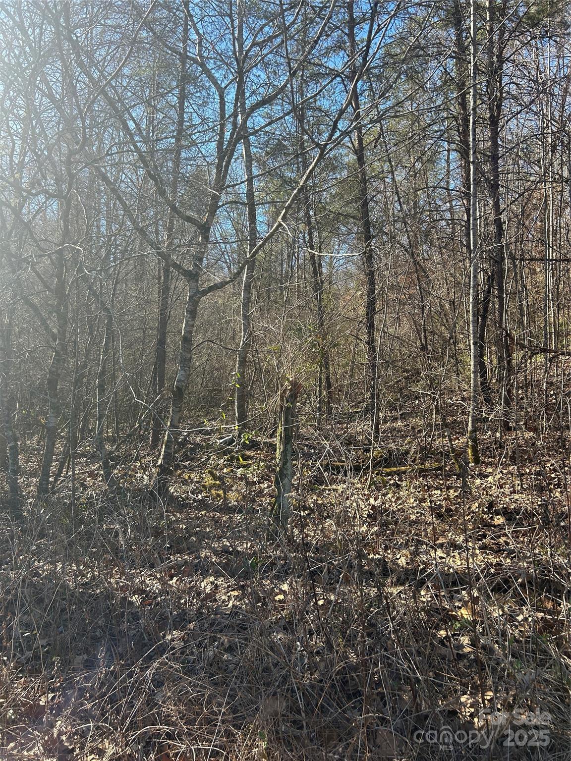 0 Ham Creek Road Union Mills, NC 28167 - Photo 7 of 8