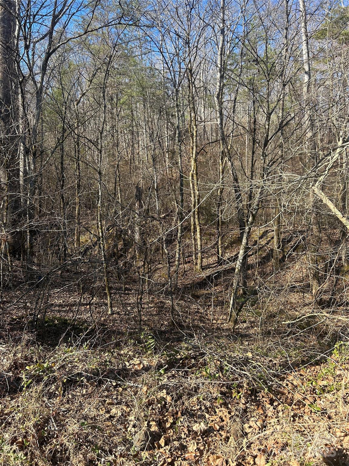 0 Ham Creek Road Union Mills, NC 28167 - Photo 8 of 8