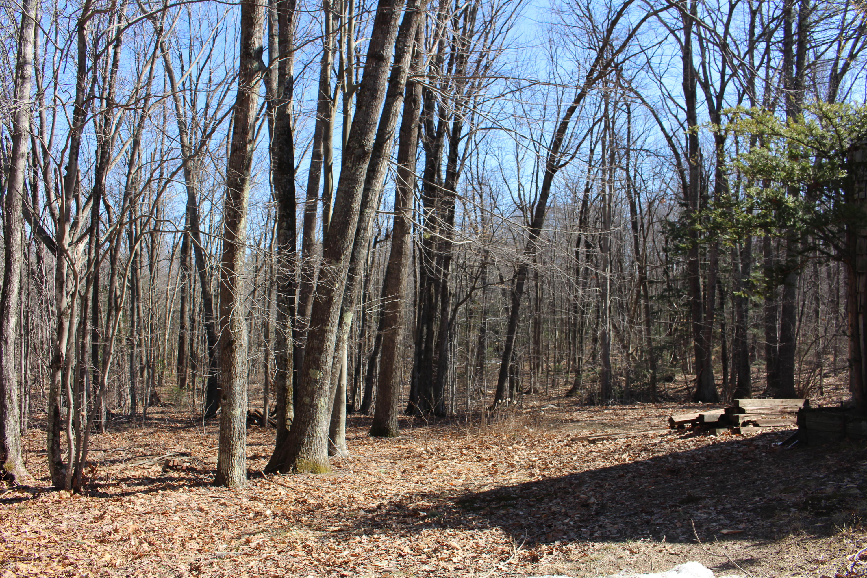 89 Varney Mill Road Windham, ME 04062 - Photo 20 of 22 IMG_9550