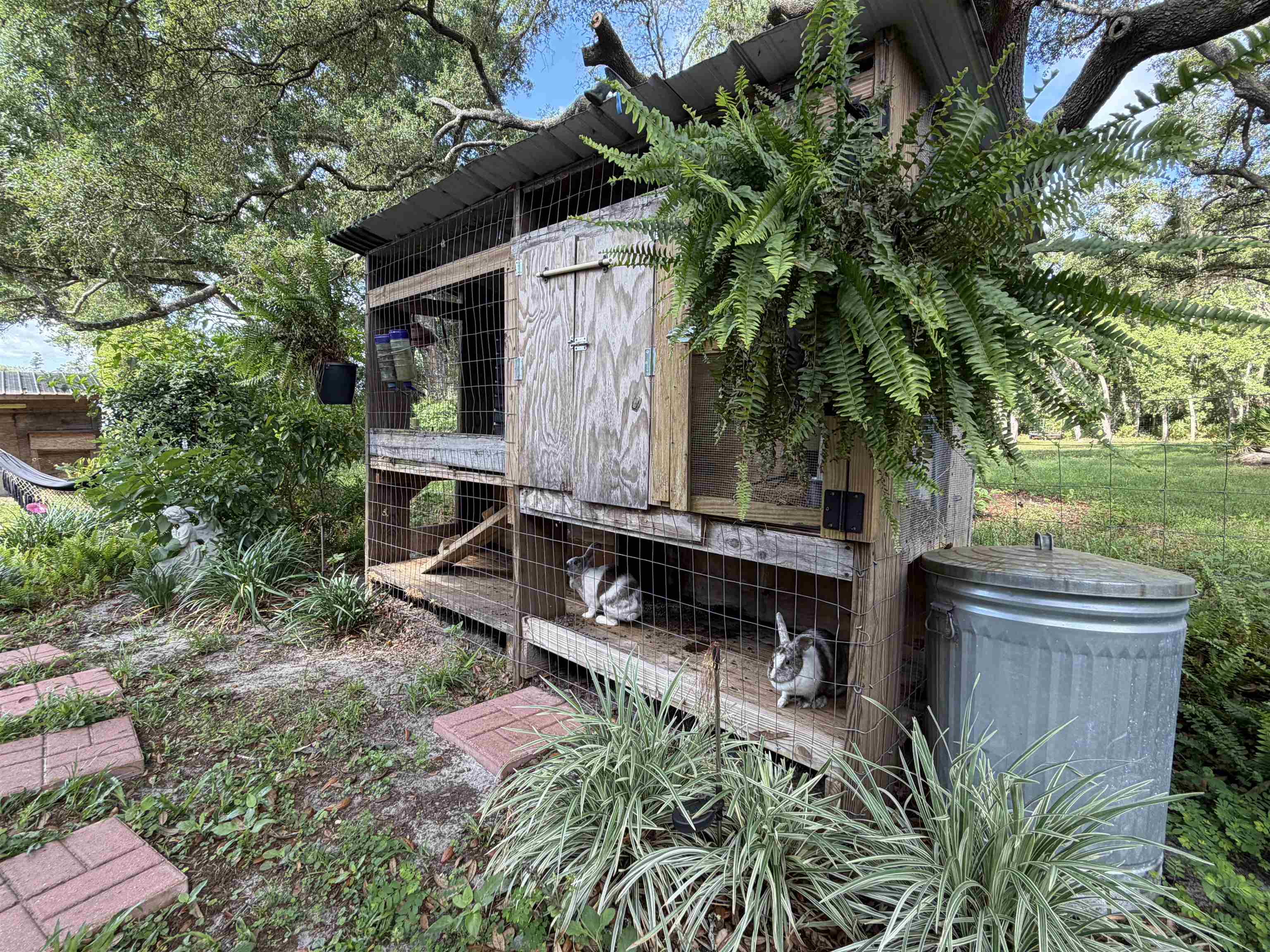 323 Sisco Road Pomona Park, FL 32181 - Photo 19 of 31 an outdoor space with plants