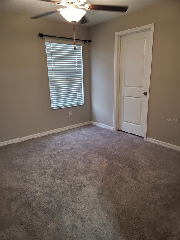 14331 Easy Goer Street Ruskin, FL 33573 - Photo 11 of 23