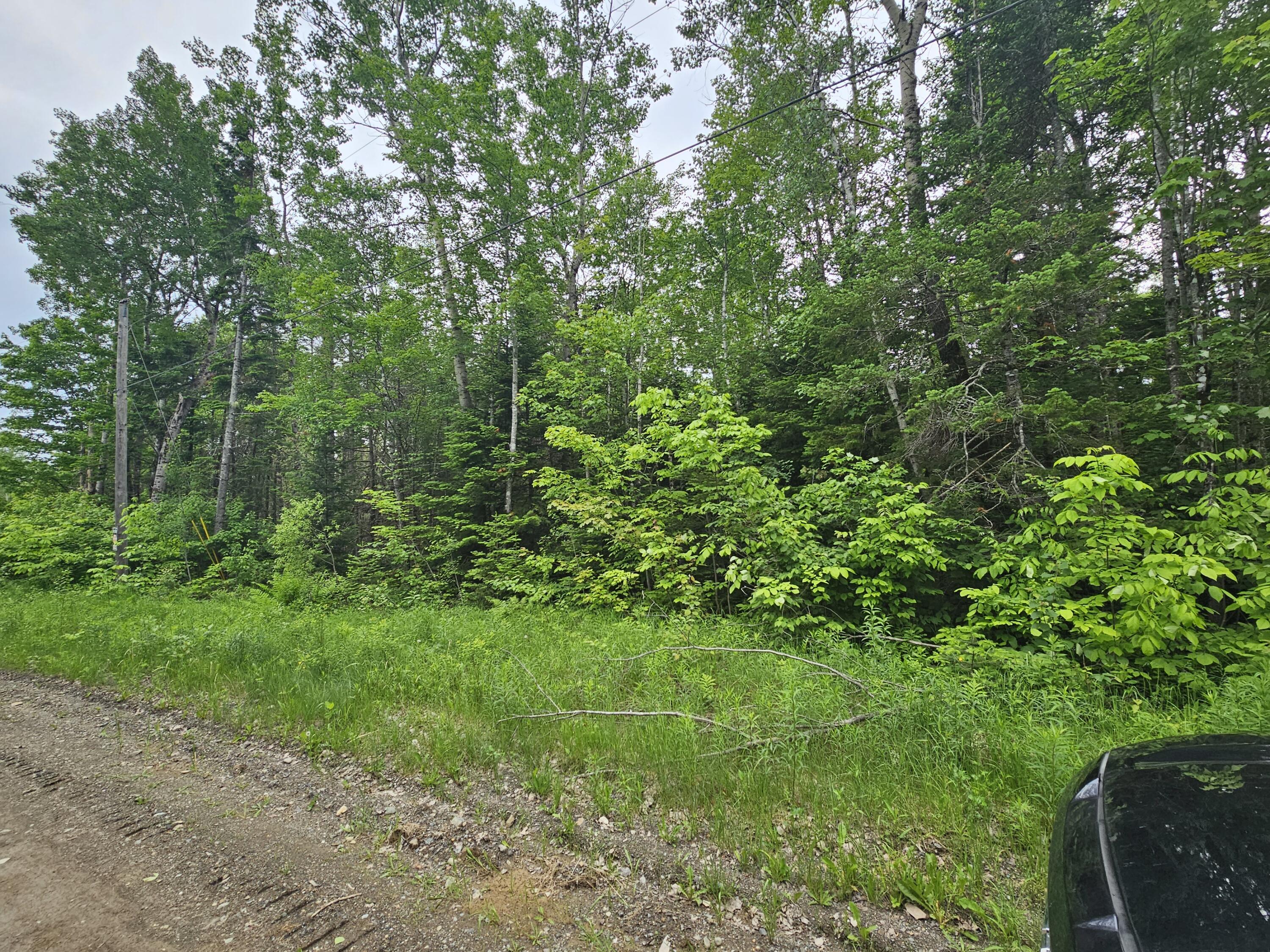 L6 Currie Road Oakfield, ME 04763 - Photo 6 of 11 20230619_165413