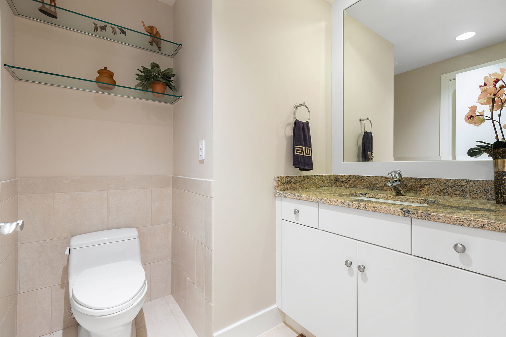 925 Morrison Road Northbrook, IL 60062 - Photo 41 of 75 a bathroom with a granite countertop sink a toilet and a mirror