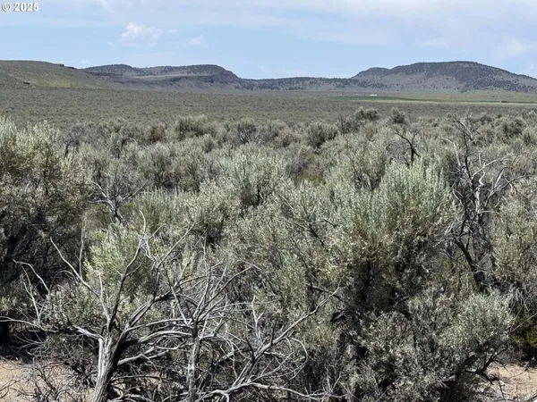 a view of mountain and trees
