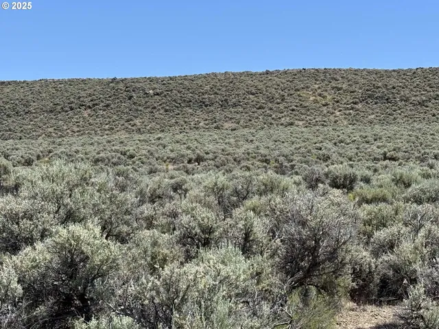 a view of a building