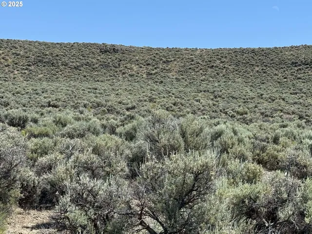 a view of a large building with a mountain view