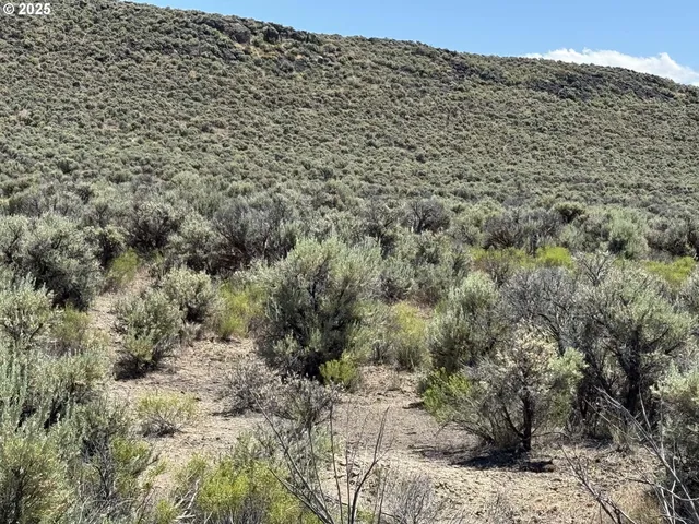 a view of a field of grass and trees