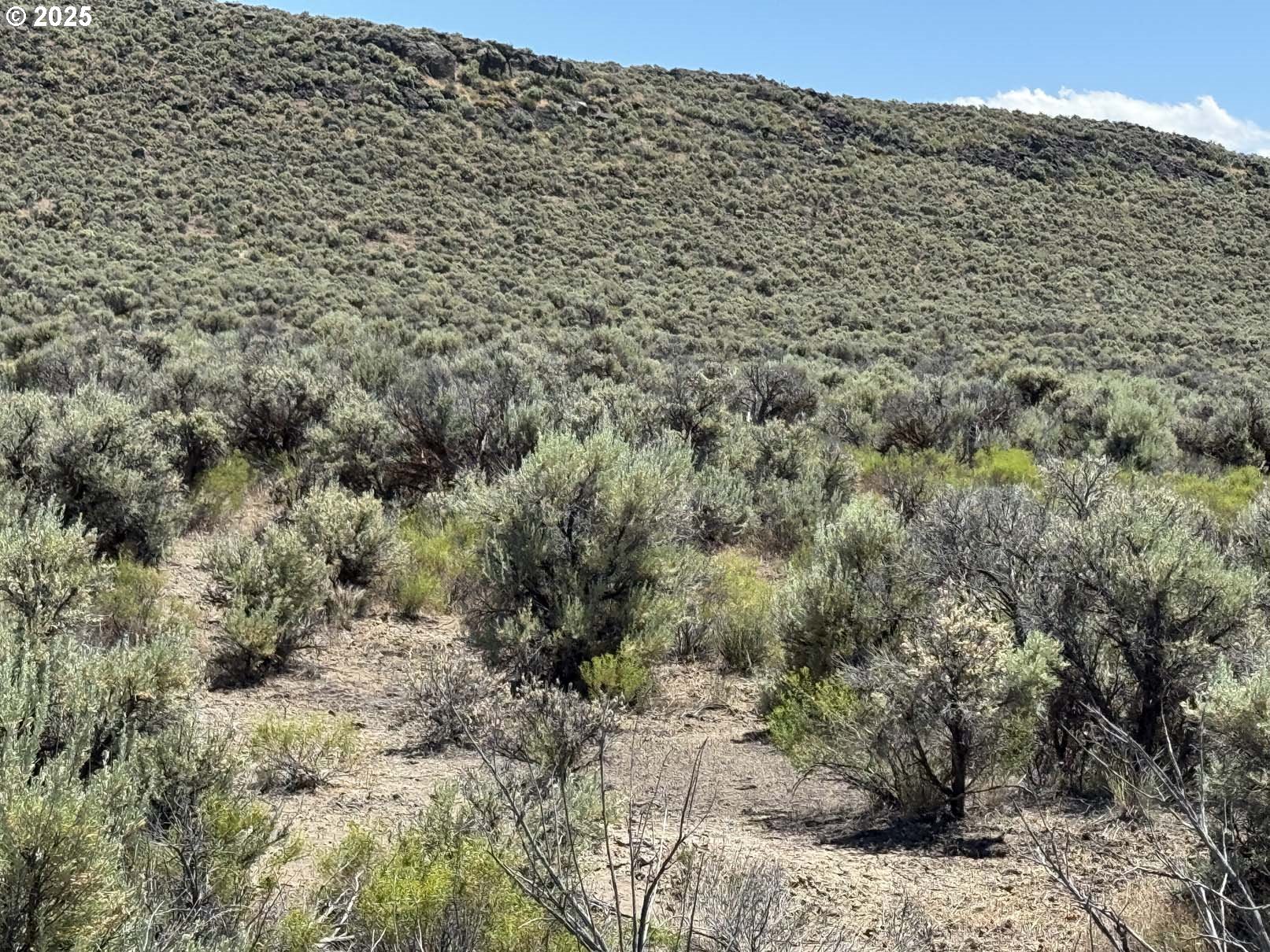 Butte Valley Road, Unit 500 Riley, OR 97758 - Photo 15 of 42 a view of a large building with a mountain view