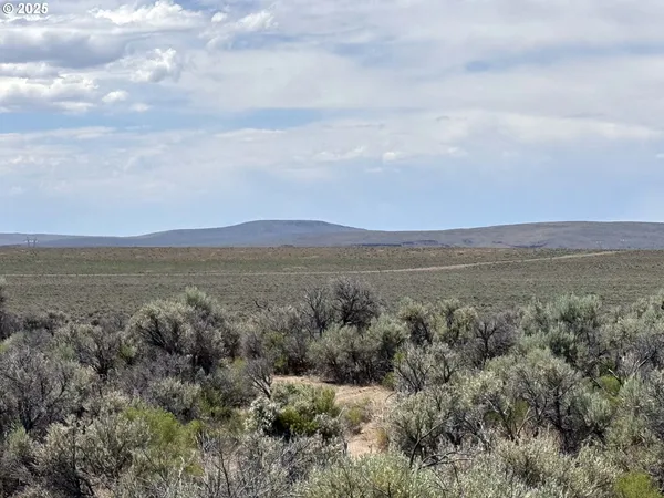 a view of an ocean beach