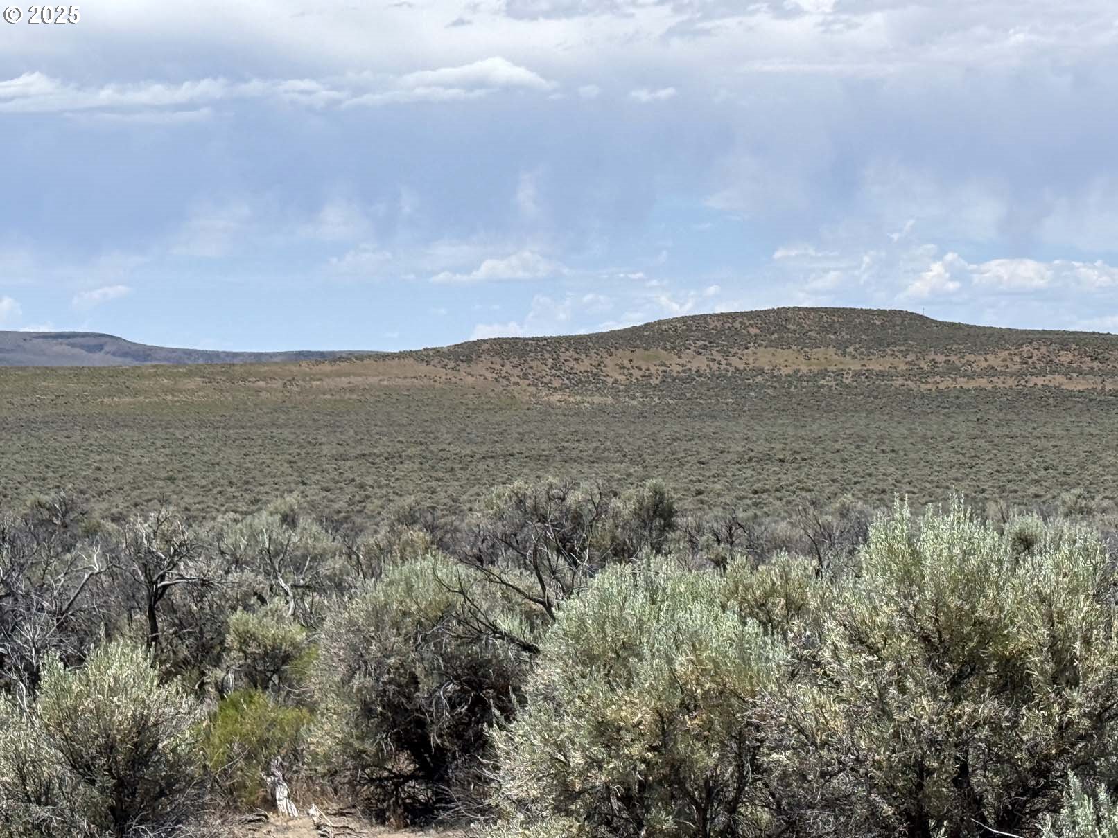 Butte Valley Road, Unit 500 Riley, OR 97758 - Photo 22 of 42 a view of an mountain and mountain