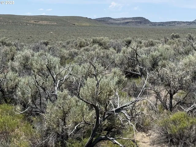 a view of a city with lush green forest
