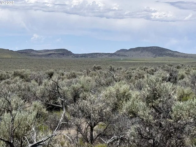 a view of a field with trees in background