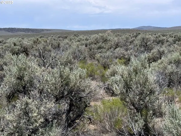 a view of a dry yard with wooden fence