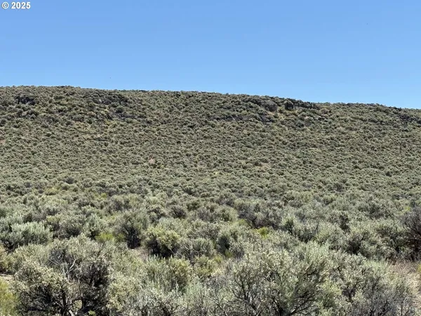 a view of a dry yard with mountains in the background